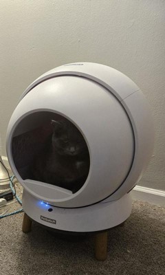 Guest review image 2 of 4, zoom in