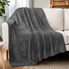PAVILIA Plush Knit Throw Blanket for Couch Sofa Bed, Super Soft Fluffy Fuzzy Lightweight Warm Cozy All Season - 3 of 4