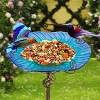 31.1" Tall Glass Bird Bath Flower Bird Feeder with Metal Stake Bird Feeder & Water Dish for Outdoor Garden Patio Decor - 3 of 4