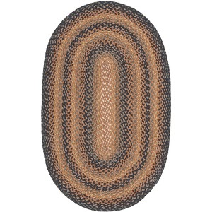 Braided BRD652 Flat Weave Rug - Safavieh - 1 of 4