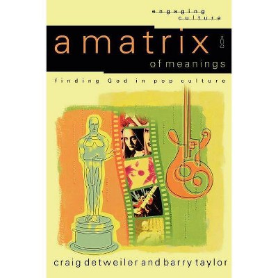 A Matrix of Meanings - (Engaging Culture) by  Craig Detweiler & Barry Taylor (Paperback)