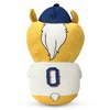 MLB Texas Rangers Mascot Silk Touch Throw Blanket and 11" Plush: Sports Team Logo Design - 3 of 3