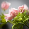 Sullivans Artificial Sweet Pink Enkianthus Spray 31.5"H - 2 of 2