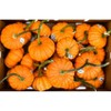 Sparkler Ornamental Pumpkin - each - 3 of 3