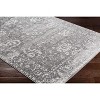 Hauteloom Tripp Distressed Gray Rug - 3 of 4