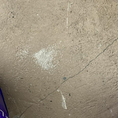 Guest review image 3 of 4, zoom in