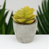 Unique Bargains Artificial Plants Dinteranthus in Mini Pulp Plastic Green 2.56"x2.56"x3.35" 1 Pcs - 2 of 4
