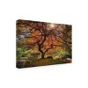 Trademark Fine Art -Moises Levy 'The Tree Horizontal' Canvas Art - 4 of 4