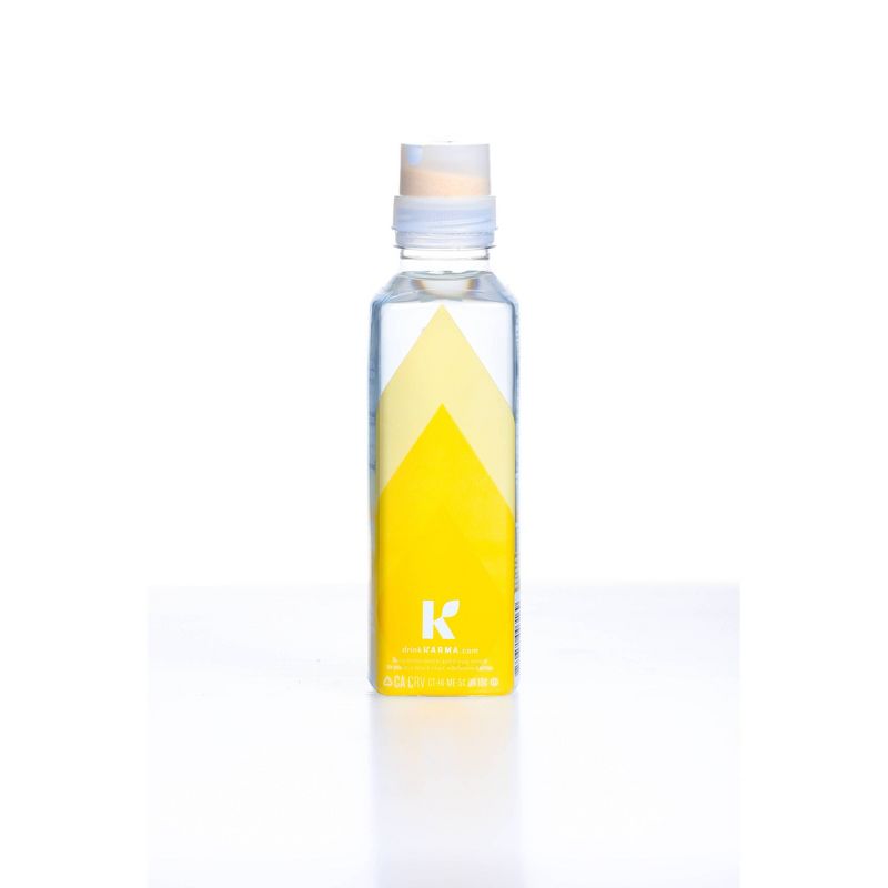 Karma Pineapple Coconut Wellness Water - 18 fl oz, 3 of 6