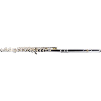 Etude EFL-200 Student Series Flute Level 2 Offset G, C-Foot 194744730177