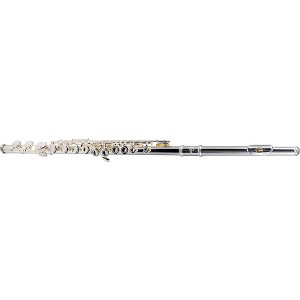 Etude EFL-200 Student Series Flute Level 2 Offset G, C-Foot 194744730177 - 1 of 4