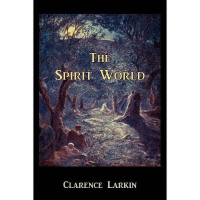 The Spirit World - by  Clarence Larkin (Paperback)