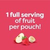 Beech-Nut Fruities Baby Food Pouch Variety Pack - 3.5oz/9ct - 4 of 4