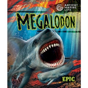 Megalodon - (Ancient Marine Life) by  Kate Moening (Paperback) - 1 of 1
