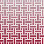 tampa bay buccaneers