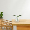 Unique Bargains Wooden Stand Hydroponic Collectible Glass Terrarium 2 Pcs - 4 of 4