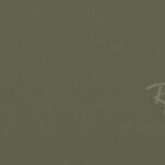 silver / g-15 green