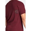 NCAA South Carolina Gamecocks Men's Champion T-Shirt - 4 of 4