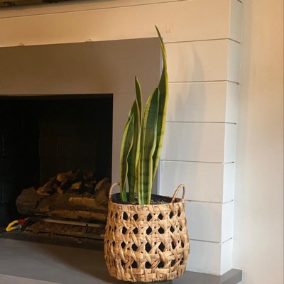 Woven Natural Decorative Cane Pattern Small Basket - Threshold™