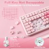 MaseiKar B87 Wireless Mechanical Keyboard,QMK/VIA Programmable,TKL Layout 87 Keys,BT/2.4G/USB-C,Hot Swap Gasket Mount RGB Backlit - 4 of 4