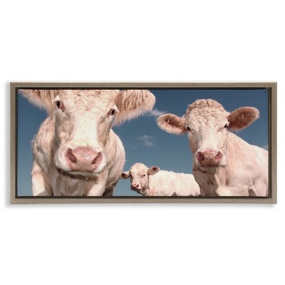 Stupell Industries Three White Cows, 31" x 14"