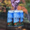 Humble Forager Enchanted Island Rotator - 4pk/16 fl oz Cans - 3 of 3