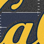 california golden bears
