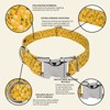 Country Brook Petz Premium Dog Collar - Spring Collection - 3 of 4