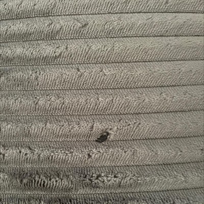 Guest review image 1 of 1, zoom in