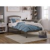 AFI Furnishings Warren Platform Bed TXL AG - 2 of 4