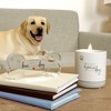 Pavilion Gift Company - Dog - 5.5" Acrylic Bone Plaque - Wall Sign Panels - 3 of 4