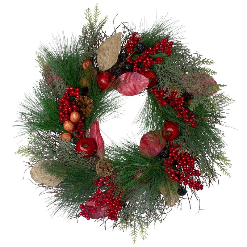 Northlight 24" Unlit Autumn Harvest Mixed Berry, Pine, and Nut Thanksgiving Fall Wreath, 1 of 5