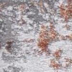 grey/orange