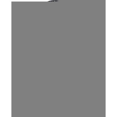 Champro Adult Camo Quarterback Playbook - Triple