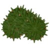Saro Lifestyle Rustic Pinecone Placemat (Set of 4), 15", Green - 3 of 4