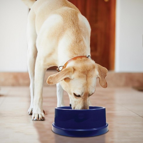 K&H Pet Products Thermal-Bowl Outdoor Heated Cat & Dog Water Bowl Stainless  Stee