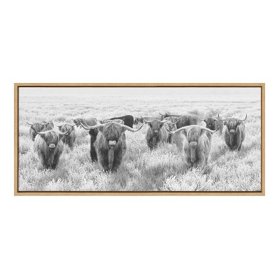 Herd of Highland Cows Black and White Canvas Print with Natural Frame