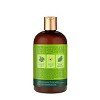 SheaMoisture Power Greens Sulfate Free Shampoo for Curly Hair Moringa and Avocado - 13 fl oz - image 3 of 4