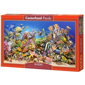 4000 Piece Jigsaw Puzzle, Underwater life, Sealife, Ocean, Adult Puzzles, Castorland C-400089-2 - 1 of 4