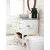 Amerock Davenport Wall Mounted Pivoting Double Post Toilet Paper Holder - 3 of 4