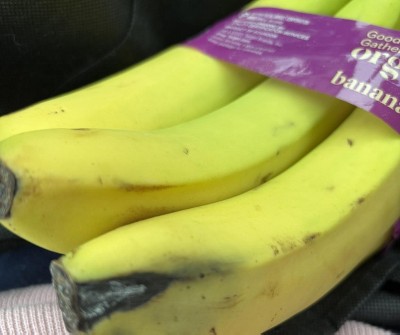 Guest review image 1 of 2, zoom in