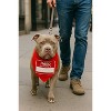 Parisian Pet 'Hello My Name Is' Bandana - Trendy, Comfortable Red Pet Name Tag Bandana for Dogs & Cats - 3 of 4