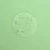 Pacifica Kale Detox Deep Cleansing Face Wash - 5 fl oz - image 3 of 4
