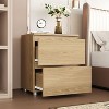 Famapy 2 Drawer Nightstand Set Bedroom Modern Designed Bedside Dresser End Table Chest - 2 of 4