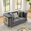 69" Velvet Loveseat Luxury Sofa with Gold Stainless Steel Trims and Embroidered Texture, Mid Century Modern Victorian Tufted Couch - 4 of 4
