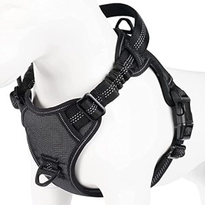 rabbitgoo Dog Harness for Medium Dogs No Pull, Upgrade Escape, Unique Bungee, Durable Nylon Surface, Comfy Soft Safe Control Handle & Reflective - 1 of 1