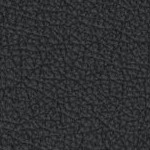 sporting kansas city