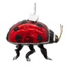 Kurt Adler Noble Gems Glass Ornament for Christmas Tree, Ladybug, 3" - 3 of 4
