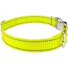 Country Brook Petz Premium Reflective Nylon Dog Collar - 3 of 4