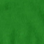 kelly green